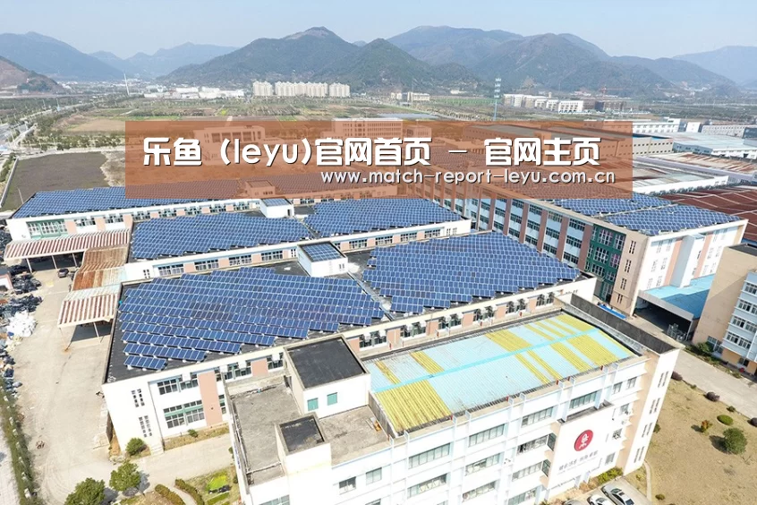 案例展示四