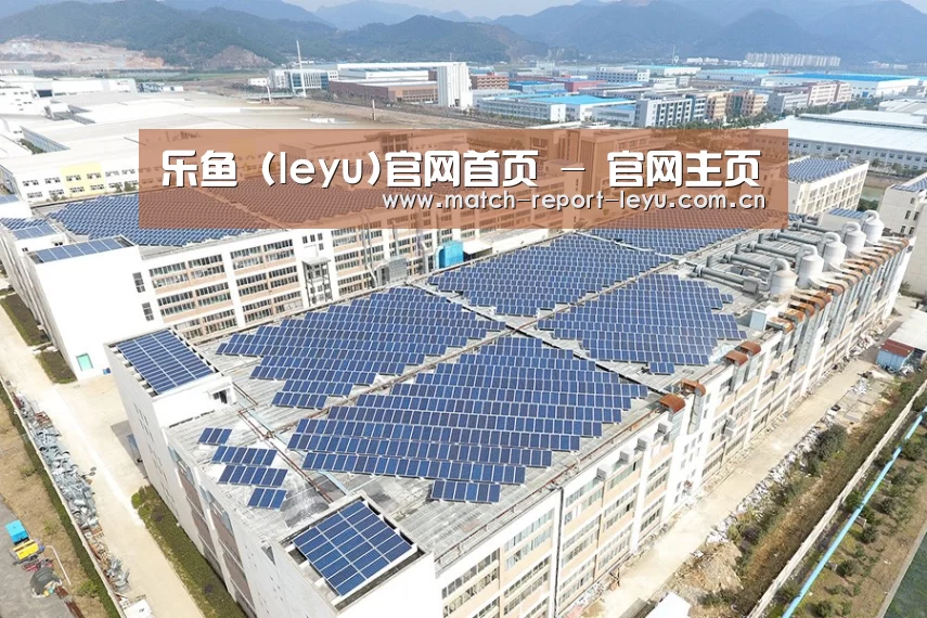 案例展示二