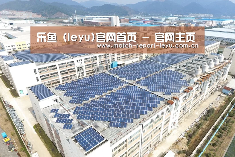 案例展示三
