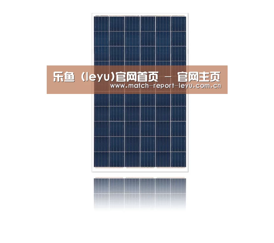 产品名称一