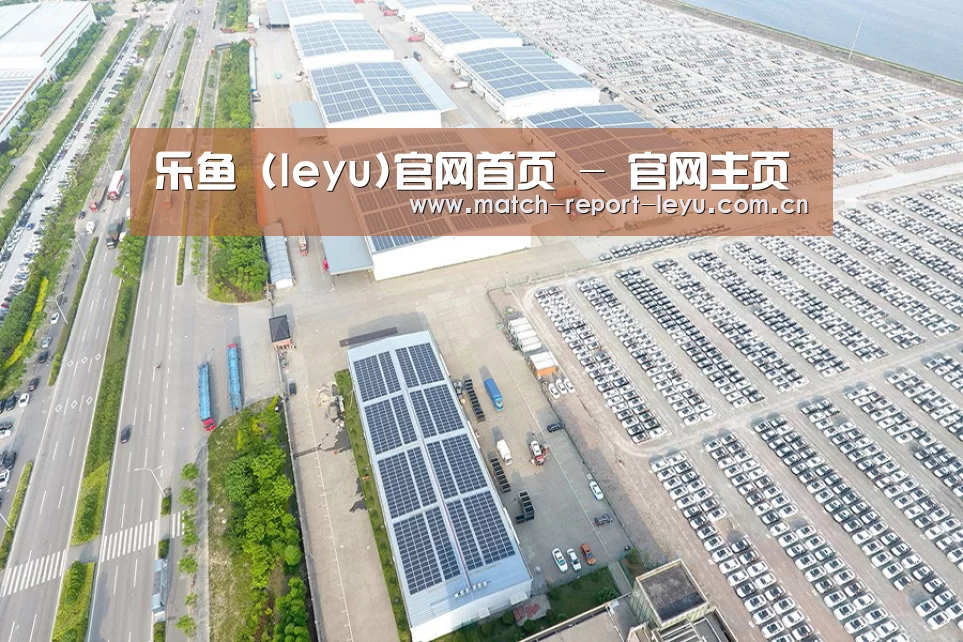 案例展示一