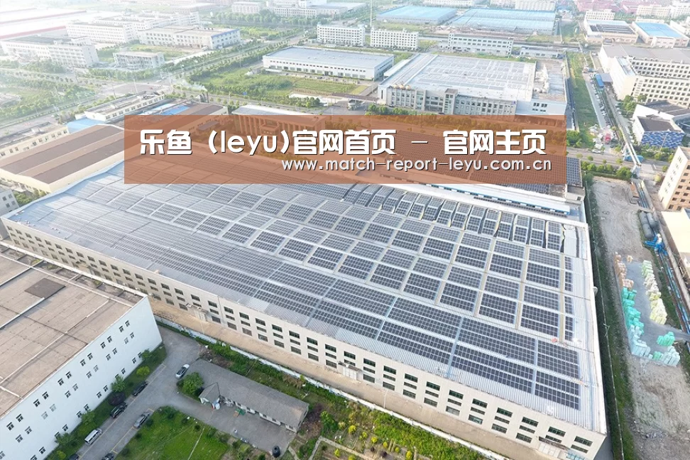 案例展示三