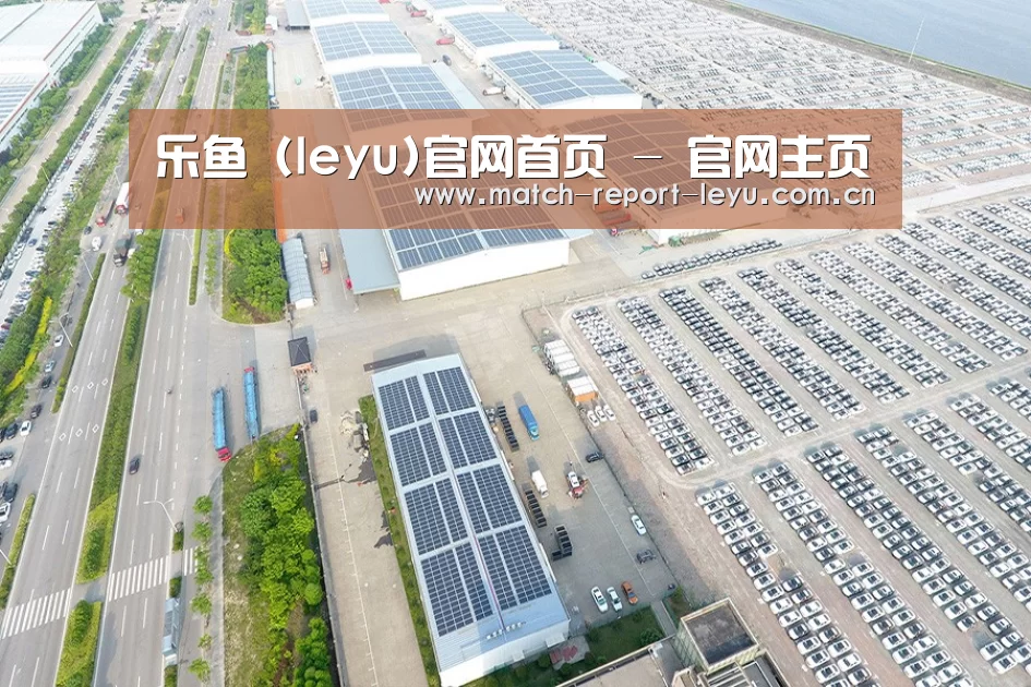 案例展示三