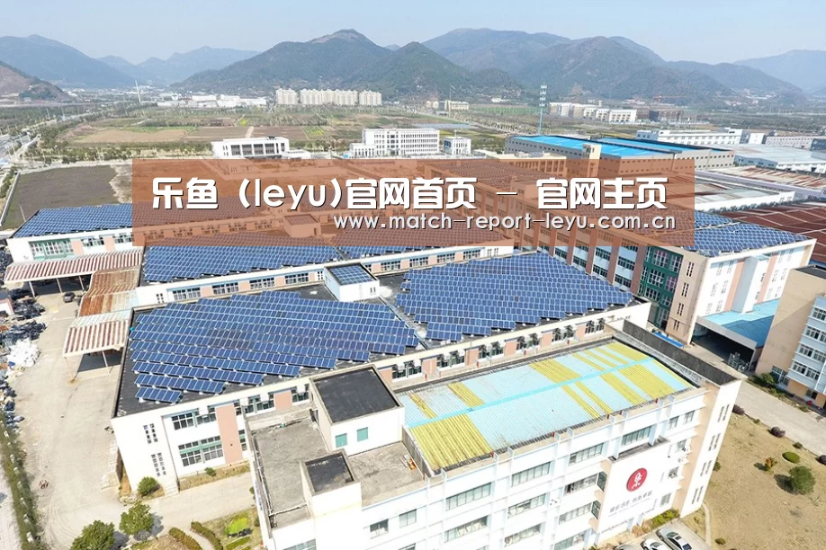案例展示三