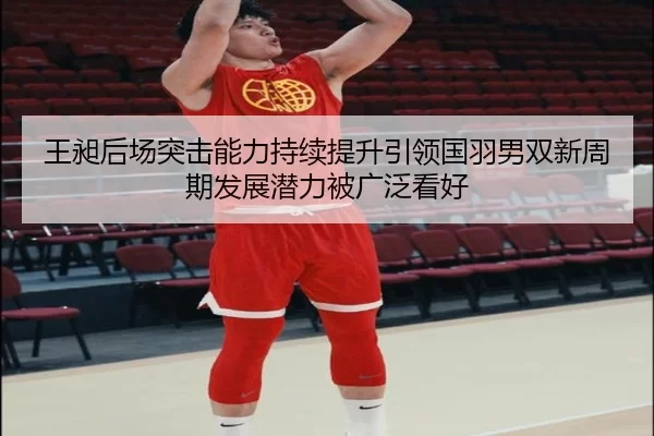 王昶后场突击能力持续提升引领国羽男双新周期发展潜力被广泛看好